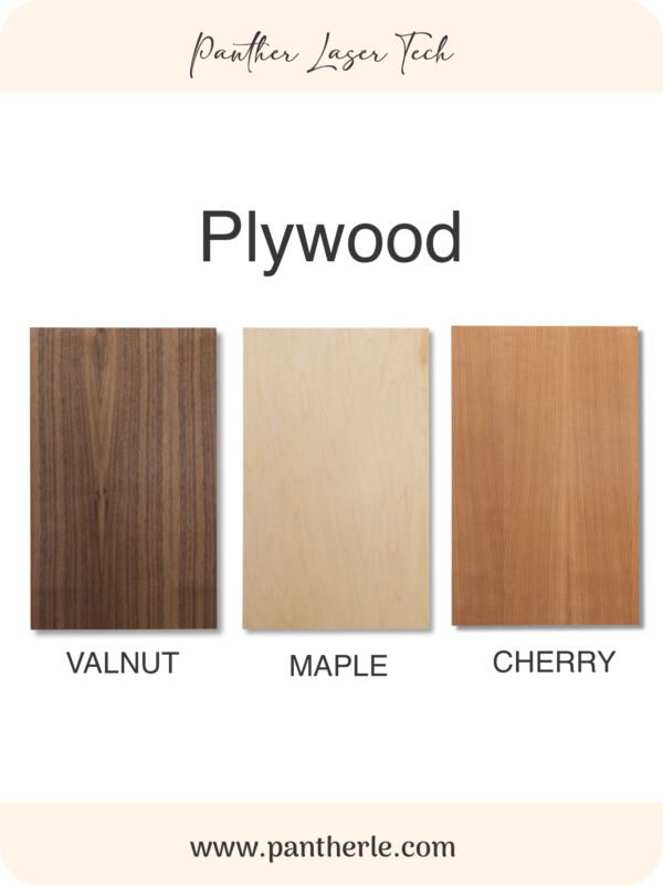 Laser-Cut and Engraving Santa Money Holder